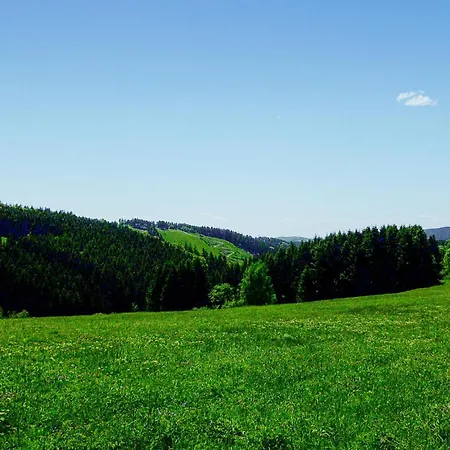 Ferienhauspark Holiday home *