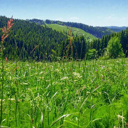 Ferienhauspark * Hasselfelde