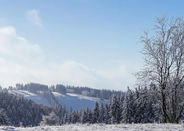 펜션 Ferienhauspark 하셀펠데