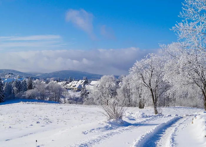 펜션 Ferienhauspark *