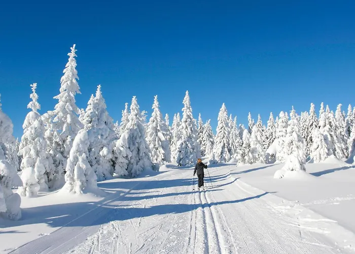 Ferienhauspark * 하셀펠데