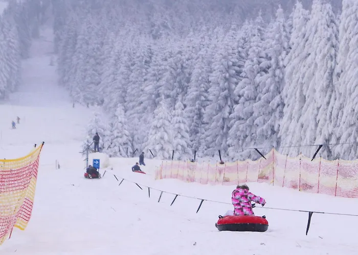 펜션 Ferienhauspark