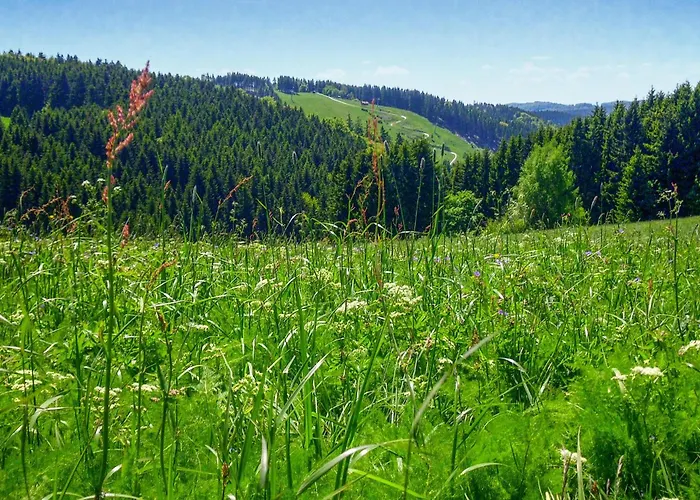 Ferienhauspark * 하셀펠데